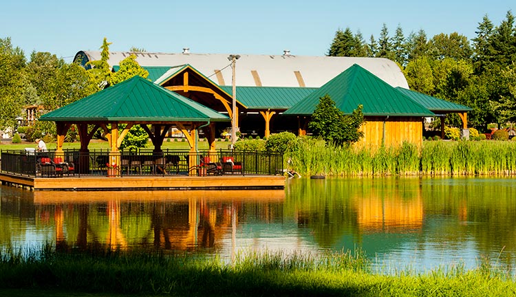 Outdoor pavilion over the lake at Bethany Vineyard