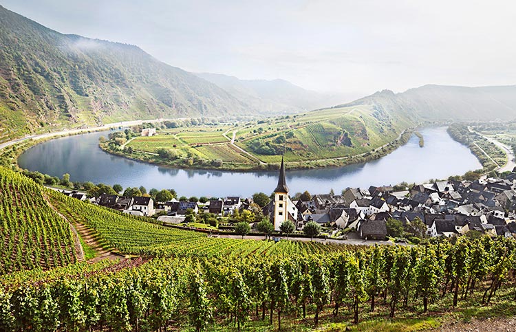 moselle river wine cruise