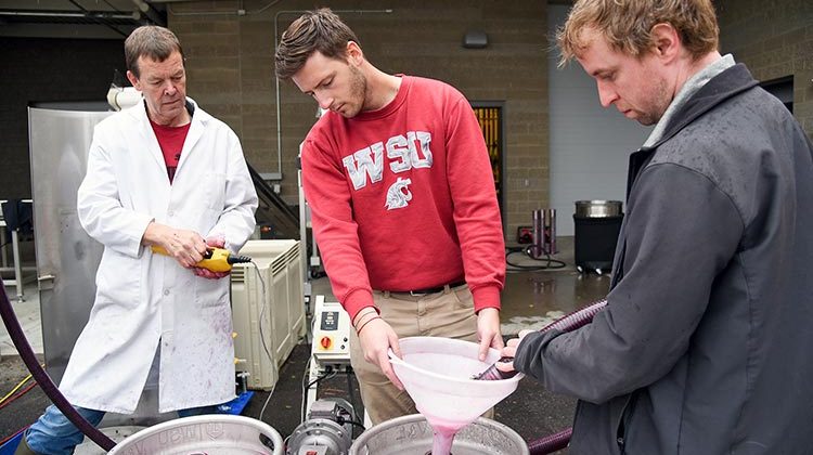 WSU’s Viticulture and Enology program