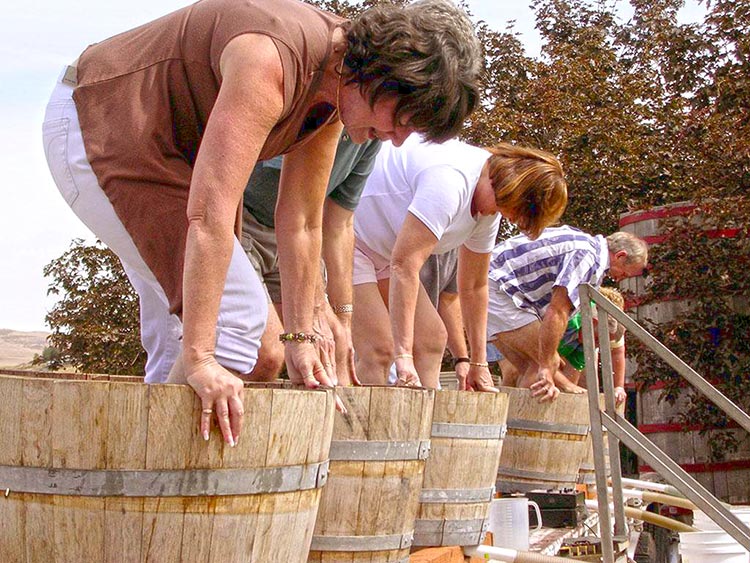 yakima-crush16news-grape-stomp