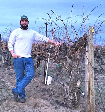 Otis Vineyard manager Sean Tudor poses next to the state’s oldest existing Cabernet vines planted in 1957.