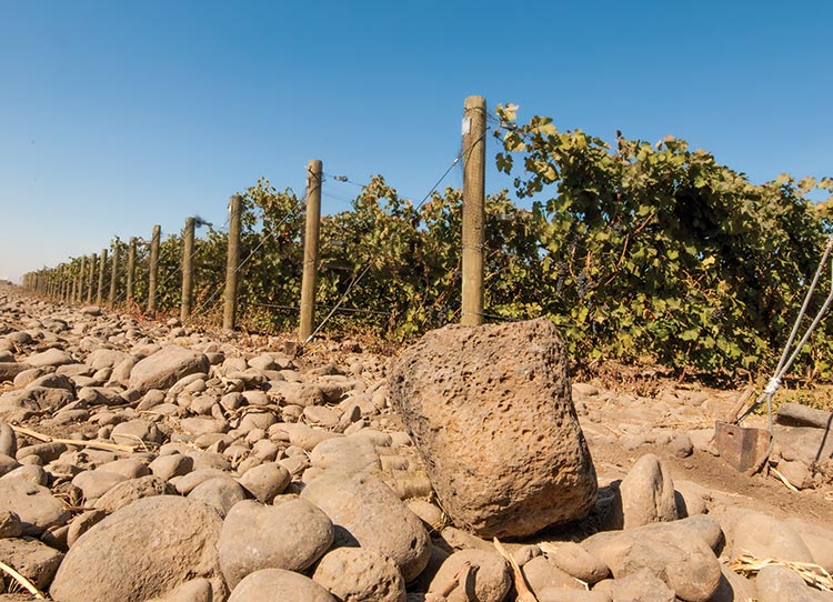 Walla Walla Valley A Matter Of Rocks