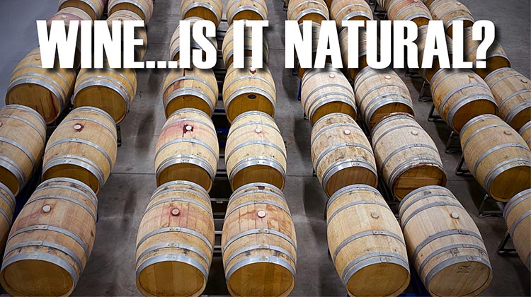 We dig behind the scenes to bring clarity to the often polarizing topic of natural wines