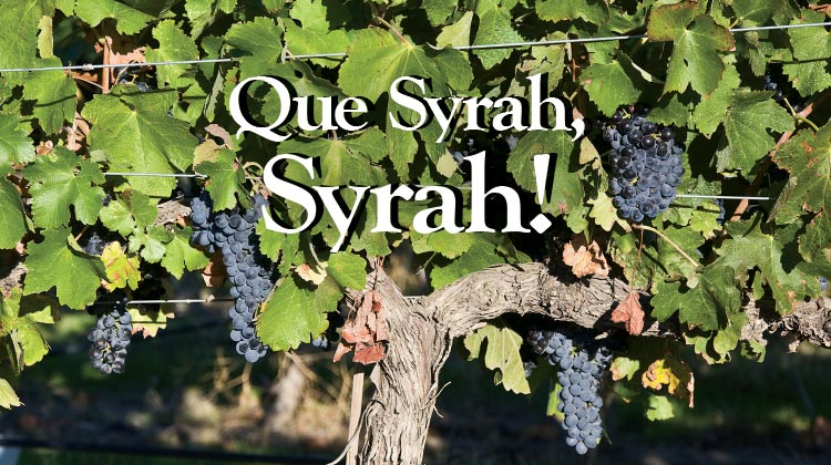 Syrah wines from Washington State
