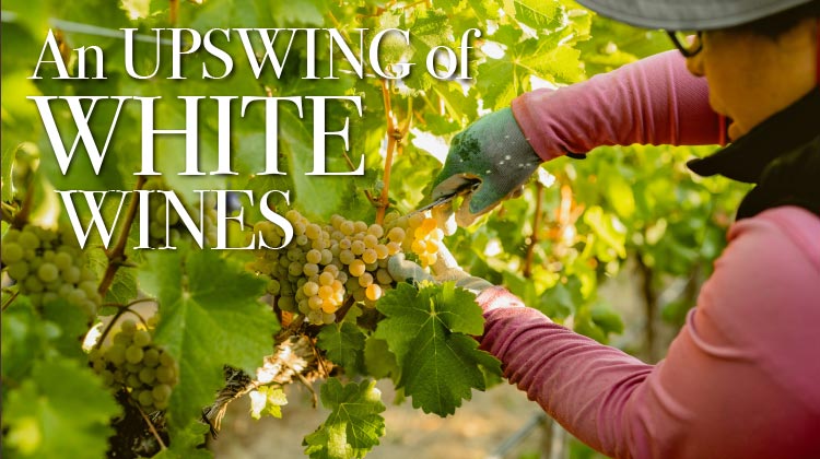And Upswing of White Wines in Washington State