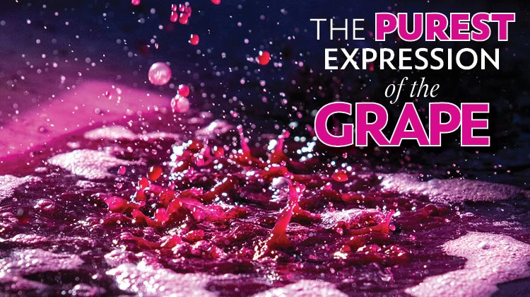 Free run juice is the purest expression of wine grapes