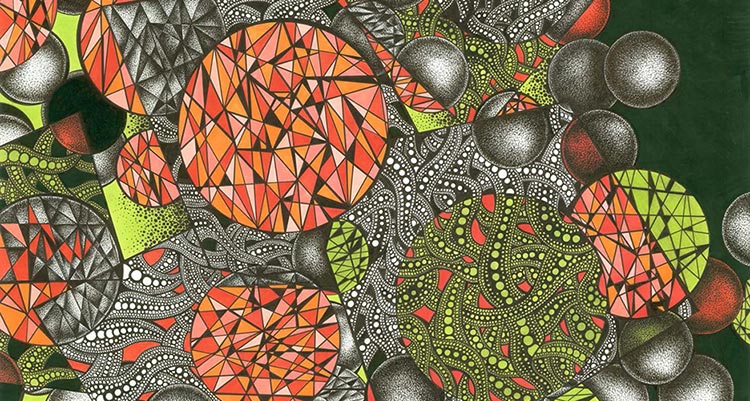 Artist Toni Lagoria Almerico lives in Kirkland, Wash. She works in pen and pigmented ink on paper, drawing obsessive compositions which combine natural and geometric forms.